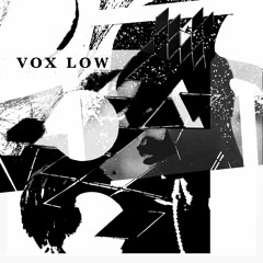 VOX LOW - THE REASONING PLACES