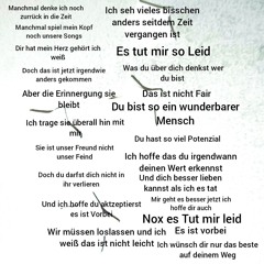 Erinnerung_ noch ein letzder Song