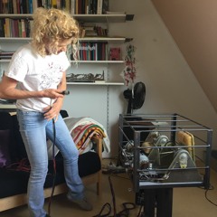 This Way to the Big Show