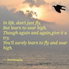 Just LET me FLY!!!!!!!!!!