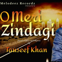 O Meri Zindagi - Tauseef Khan - New Song 2024
