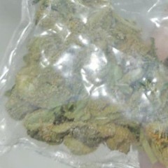 payy