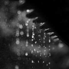 Memories In The Rain