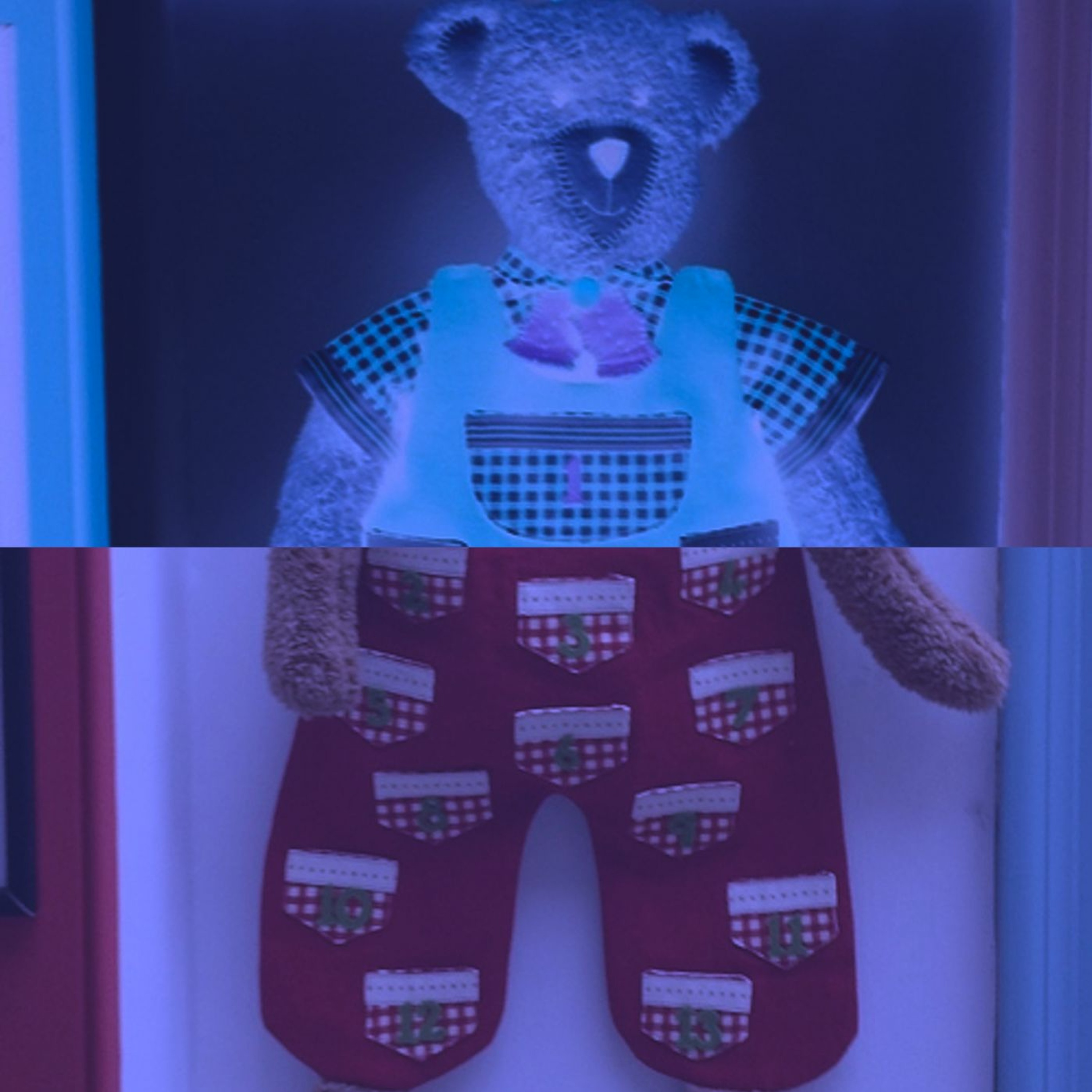 Teaganbear