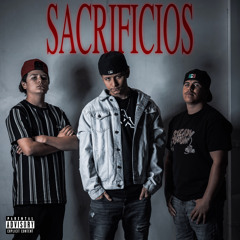 Alianza M6 -Nadie Me Va Bajar(Tololoche)