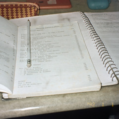 deslizou no parque- badí ansem.DEMO.