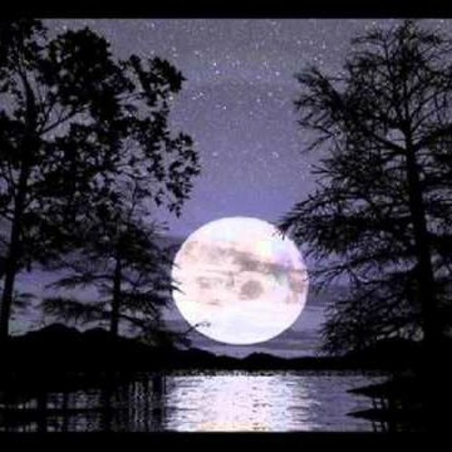 noche sin sueños cover rata blanca