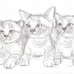 S-Three Cats