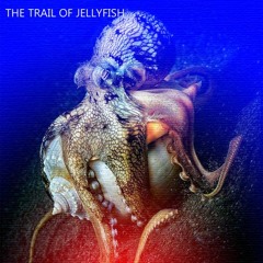 The trail of jellyfish