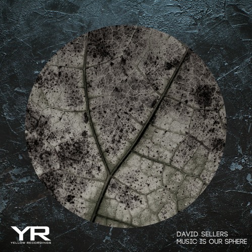 David Sellers - Music Is Our Sphere (Original Mix)