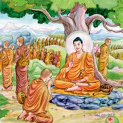 ILL Poya Deshana 01 : 2025-11-05 (පටිච්චසමුප්පාදය-17)