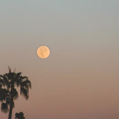 NOMADIC MOON