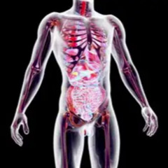 The_BioChemical_Road_Song