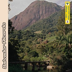 Apricot 05: Salvador Ricardo