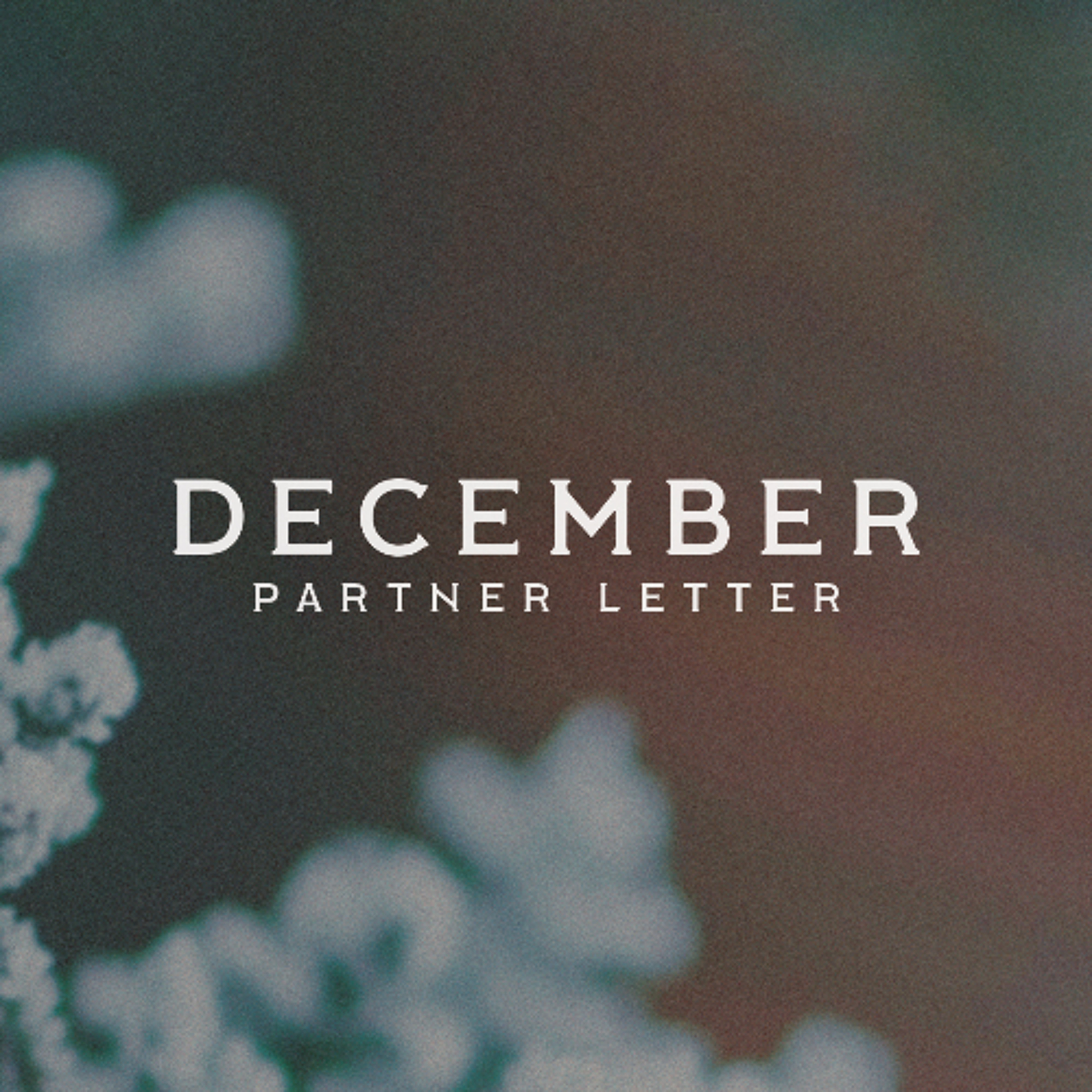 ‘Tis the Season for Miracles | December 2025 Partner Letter