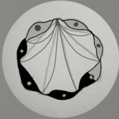 Ketamine Maineact edition(Nonprofit)