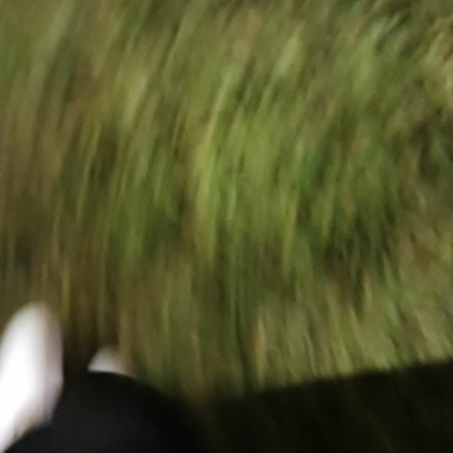 Ech0^«prod*zenny+xvrxo»