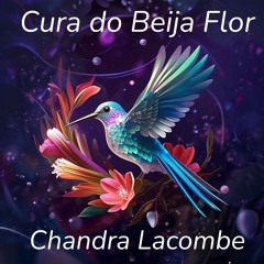 Cura do Beija Flor (Intro: Sonata per Arpa e Fagotto numero 1: I. Preludio by Luigi Concone)