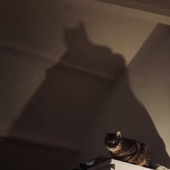 BATMAN (feat. Jejunes)