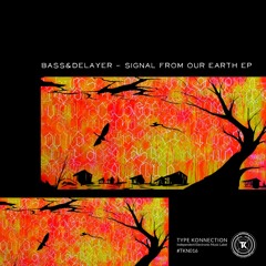 4 - Bass&Delayer - Back To The Ground