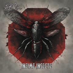 Brax - Infime Insecte