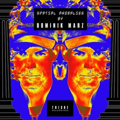 Dominik Marz - Spatial Anomalies - February 2024 Mixtape