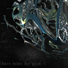 sweeep, sace and silent boy - burn down my mind