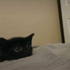 @quazze - appointment (quazze) (snippet)