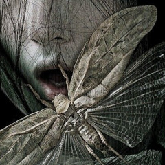 Fr3akyXangel - Freaky (prod. greyrock)