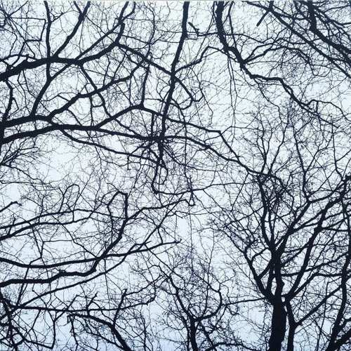 YOU ARE AN ORCHESTRA(MASHUP BY ALEJANDRO HENAO ) FREE DOWNLOAND