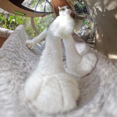 breakthatcore! [clip]