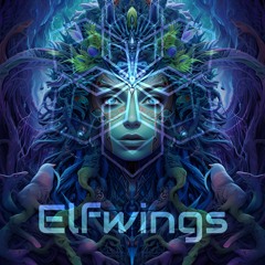 Elfwings @ QueBueno Rave | Tenerife, Spain nov 2023 | it's time to Rave