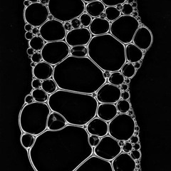 Organica d'esercizio