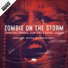Cranberries - Zombie On The Storm (Michael Ritch Edit 110-125bpm Transition)