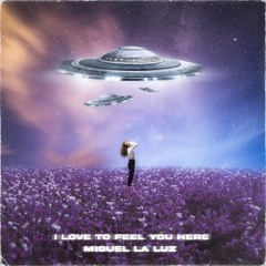 I Love To Feel You Here