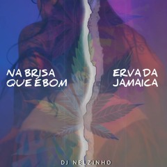 Erva Da Jamaica Vs Na Brisa Que É Bom
