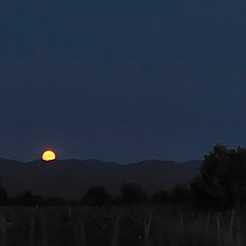 Enter the Portal Mixtape 2024