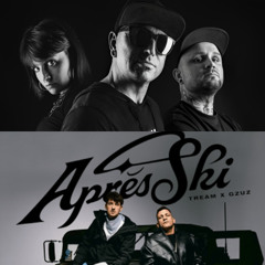 Irre vs Apres Ski (VibZ Mashup)