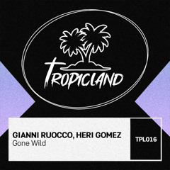 Gianni Ruocco, Heri Gomez - Gone Wild (Extended Mix)