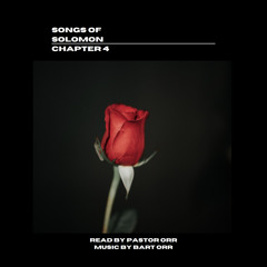 Chapter 4 x The Flying Preacher x Bart Orr