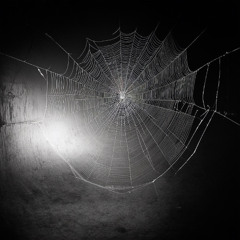 Spider's Dungeon