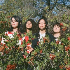 La Luz ~ Interviewed on 2SER's Static