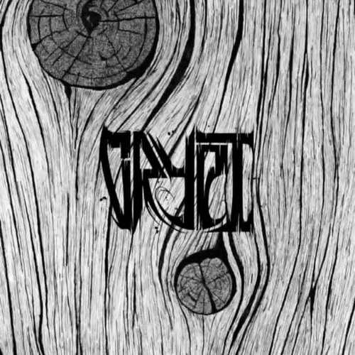 Deeproots 2024 daytime set