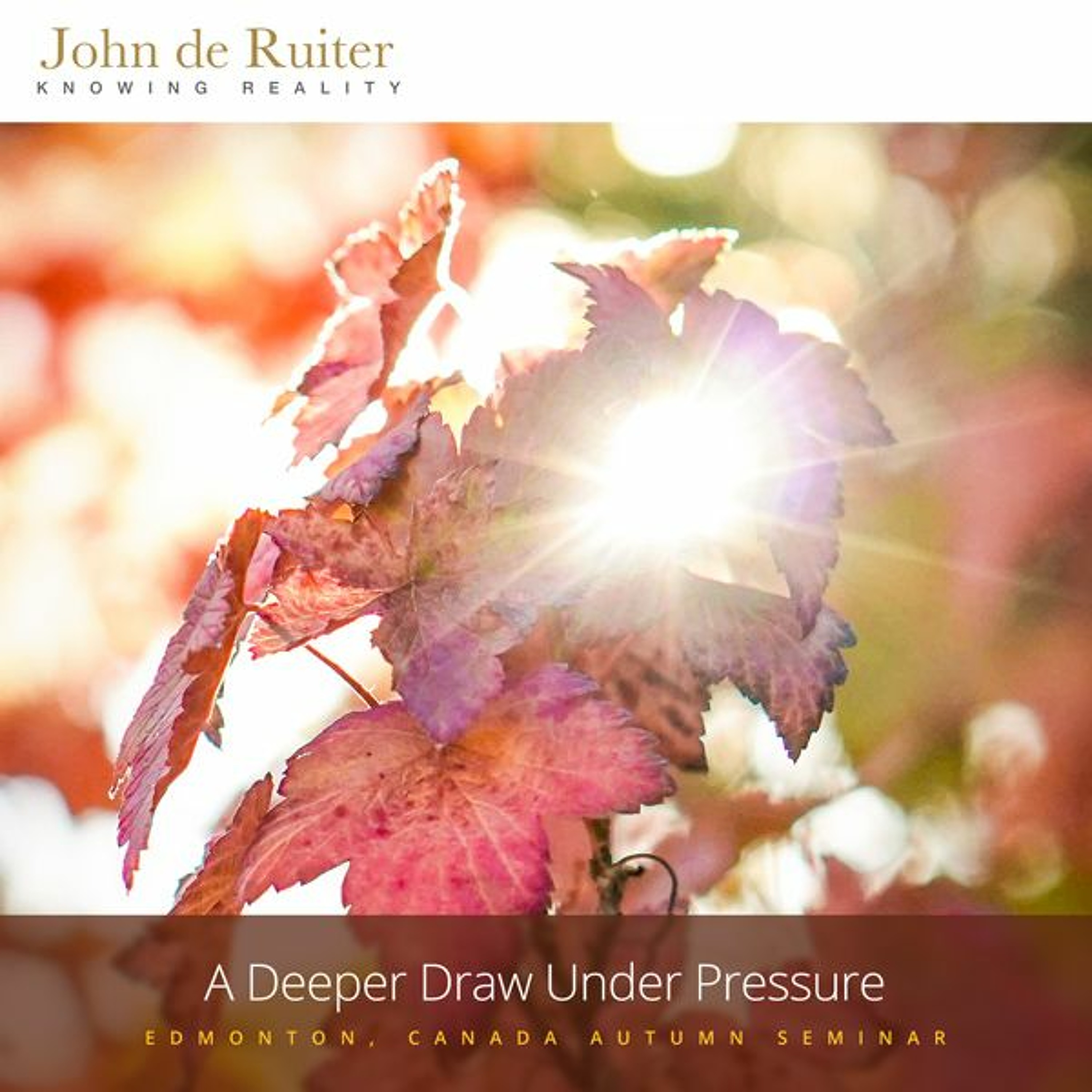 314 - A Deeper Draw Under Pressure - 1 of 10 episode artwork