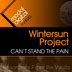 Cant Stand The Pain Original Mix