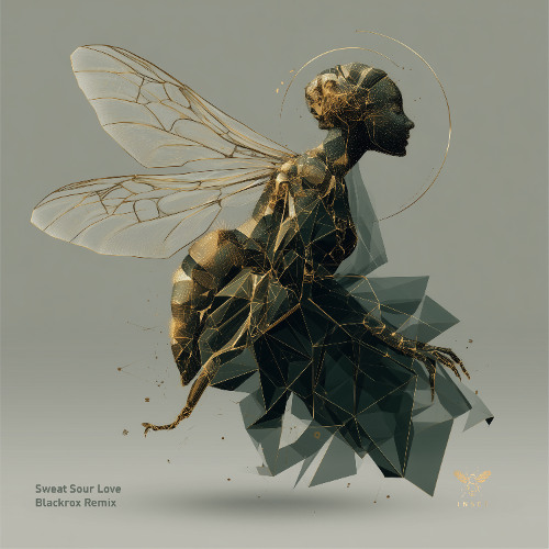 INSCT - Sweat Sour Love - Blackrox Remix Extended  01.07.2025