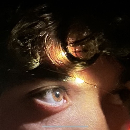 Wondering Why (first demo)