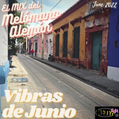 Vibras De Junio (Vinyls exist to be played)