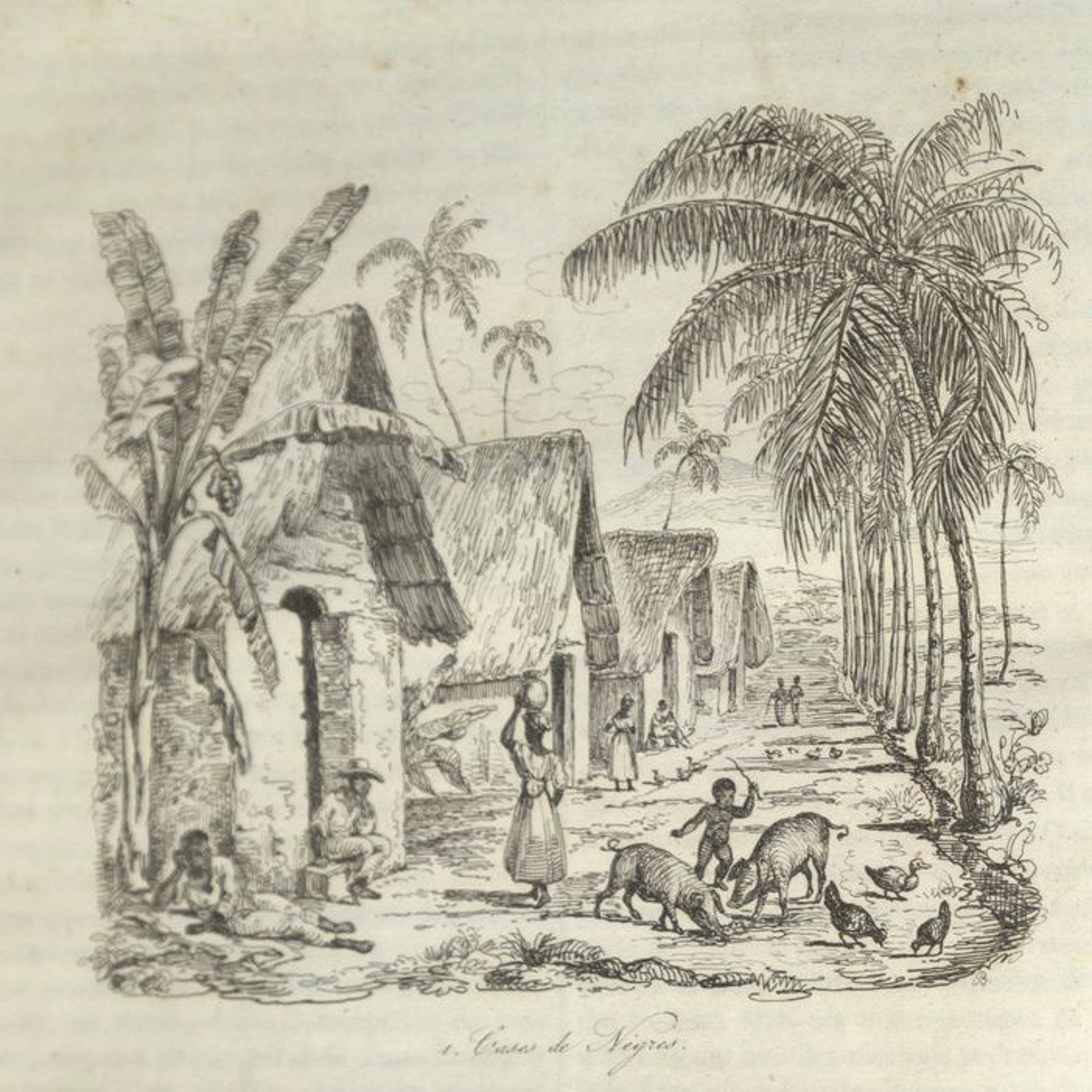 Economic Impact | Episode 51 | Economists and Slavery episode artwork