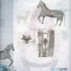 J and the woolen stars - plnt08